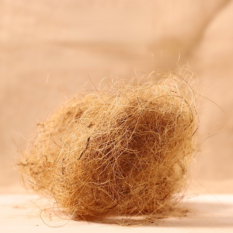 Substrate Coconut Fiber - 100g Finch Hindistan Cevizi Elyaf Gevşek