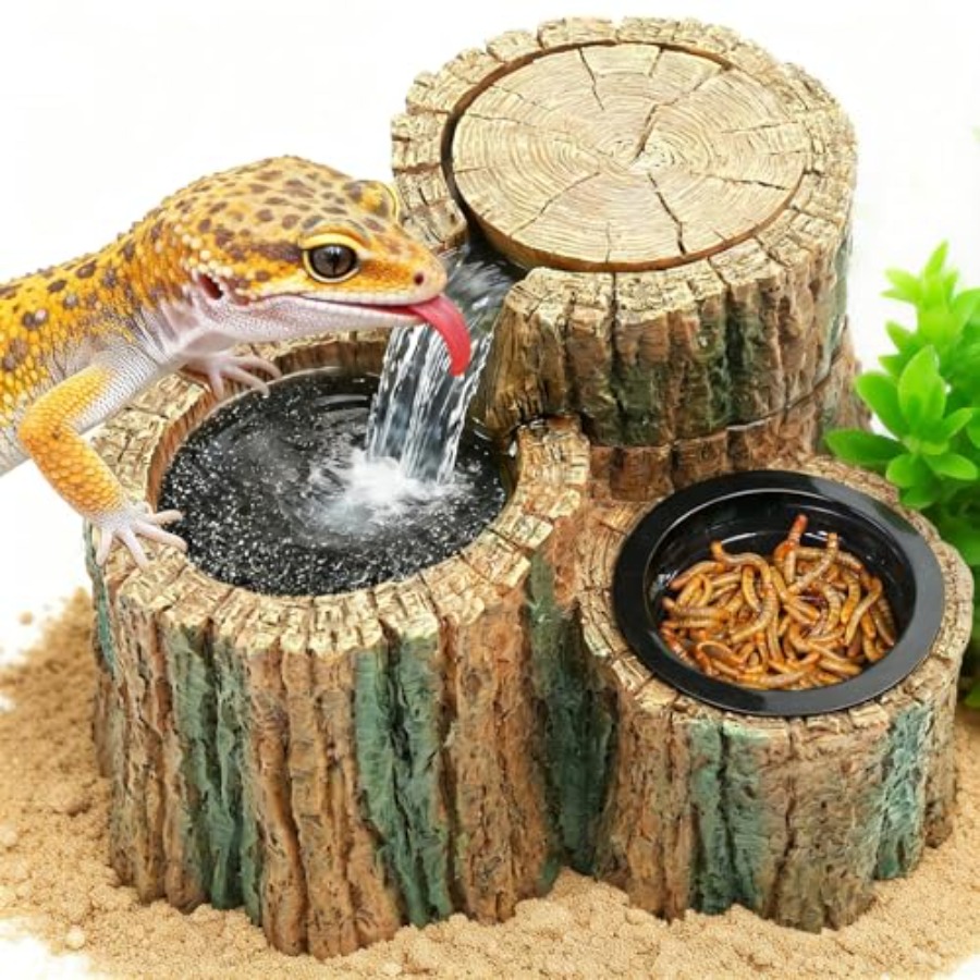 Water Dish Reptile - 2'si 1 Arada Sürüngen Su Sebili