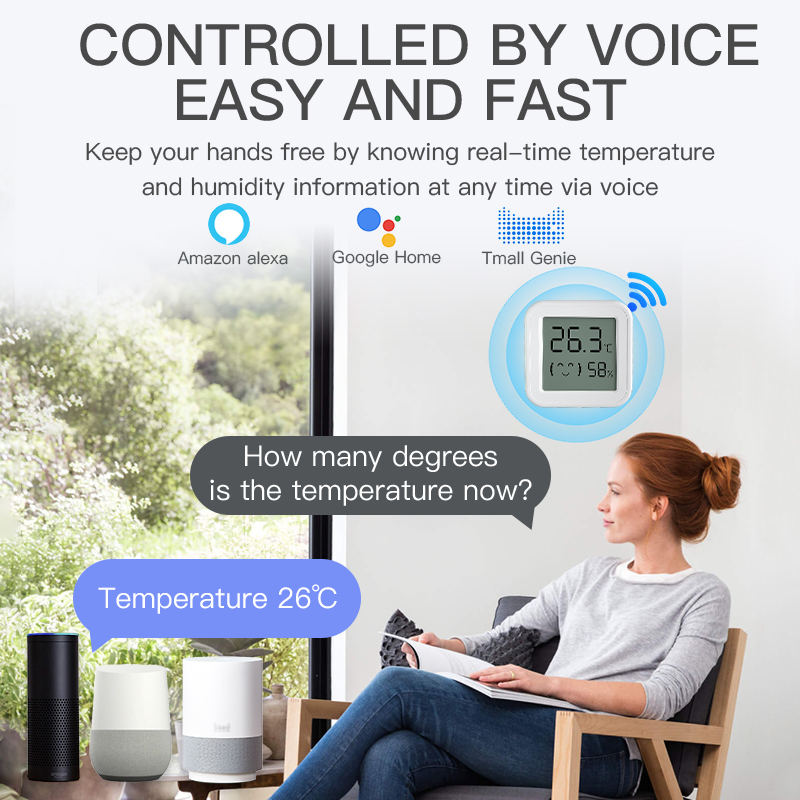 Bluetooth Sıcaklık Nem Sensörü - Digital Hygrometer Probe incelemesi ve fiyatı
