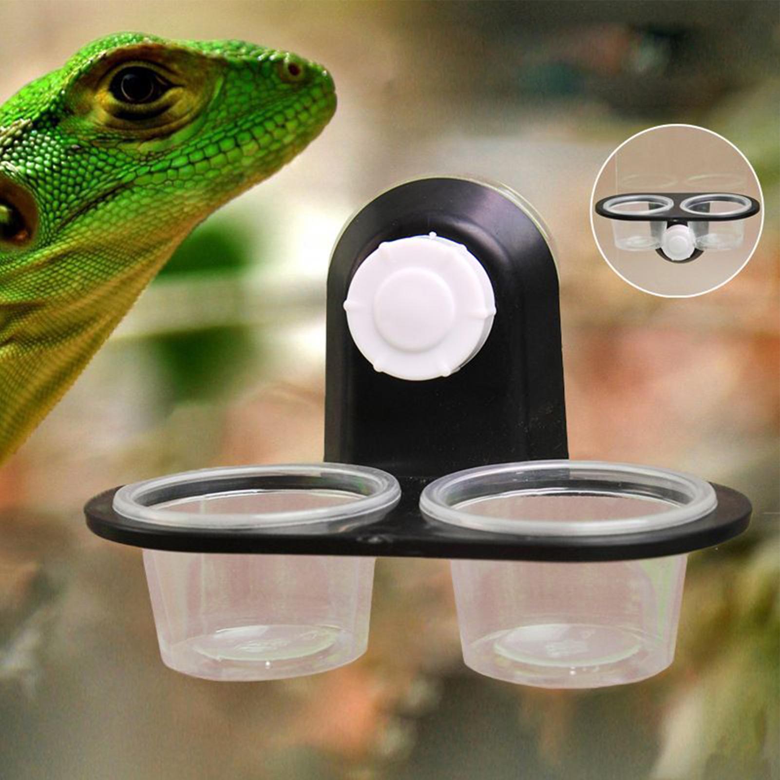 Gecko Mama Kabı Gecko Besleme  - Water Dish Reptile incelemesi ve fiyatı