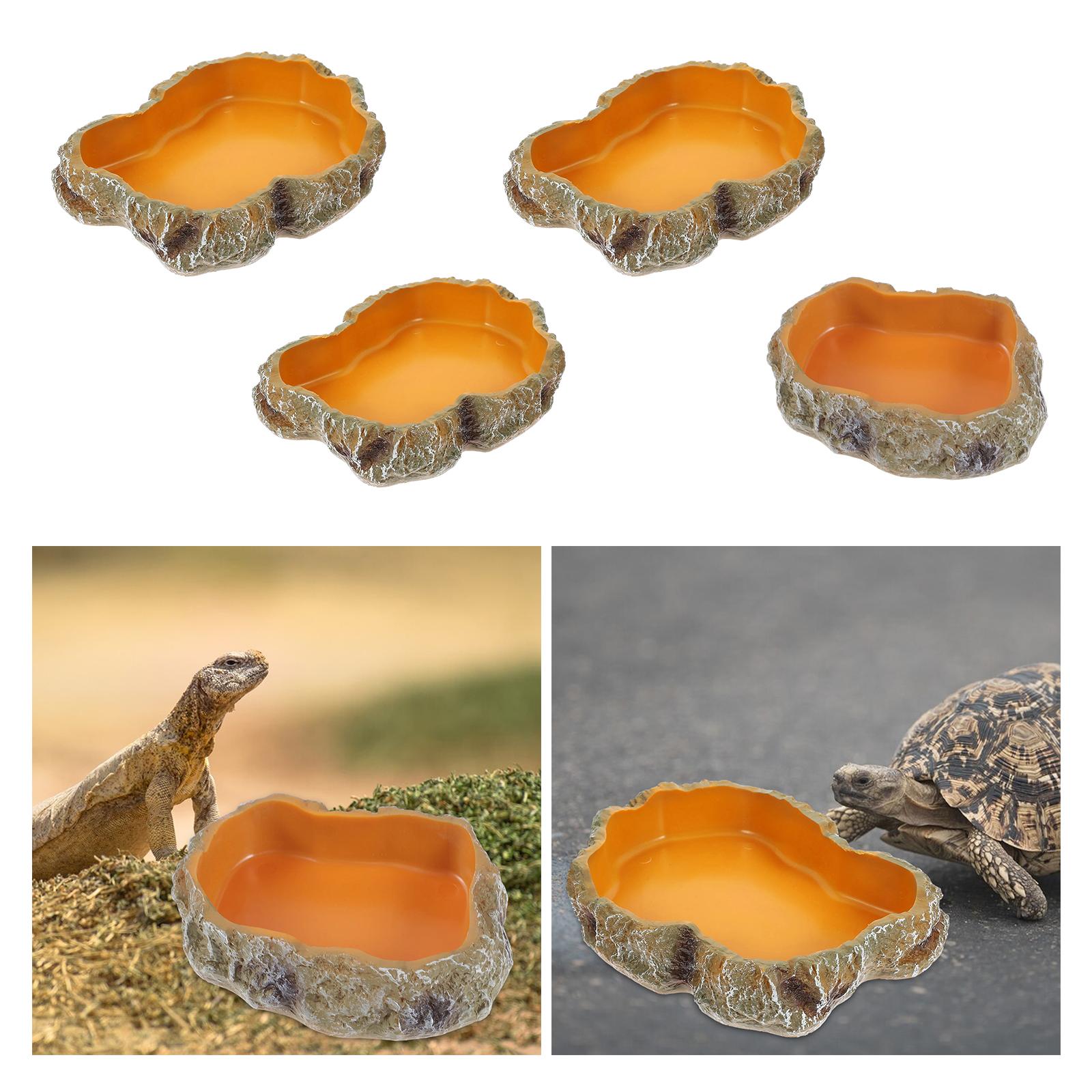 Sürüngen su kaseleri Dekoratif - Water Dish Reptile incelemesi ve fiyatı