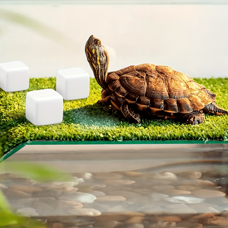 6 Adet Balık Tankı Kalsiyum Bl - Calcium Powder Reptile incelemesi ve fiyatı